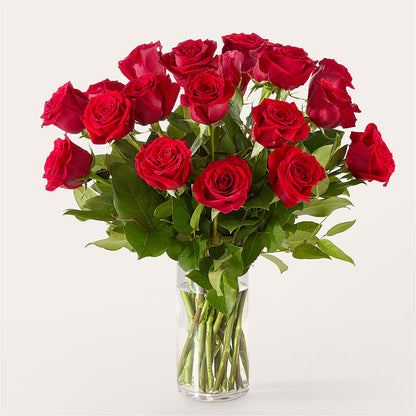 The One Red Rose Bouquet – SKIPS FLORIST & GIFTS, Toms River NJ