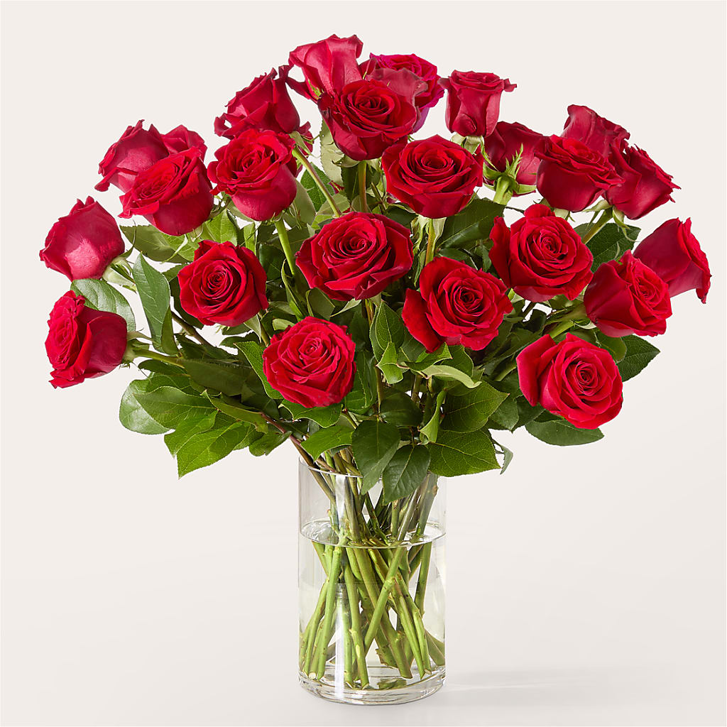 The One Red Rose Bouquet – SKIPS FLORIST & GIFTS, Toms River NJ