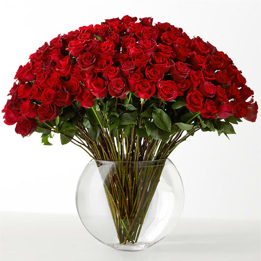 The Idealist – SKIPS FLORIST & GIFTS, Toms River NJ