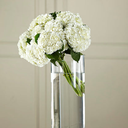 White Hydrangea Hand-Tied Bouquet – SKIPS FLORIST & GIFTS, Toms River NJ