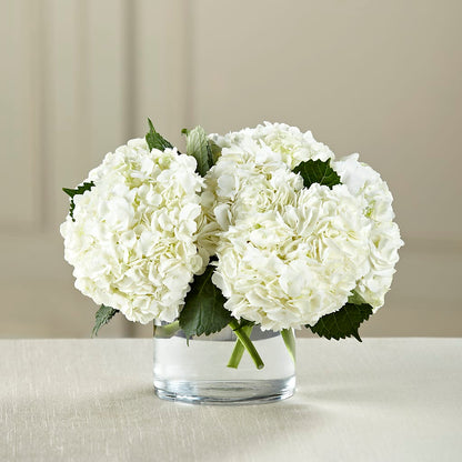 White Hydrangea Bouquet – SKIPS FLORIST & GIFTS, Toms River NJ